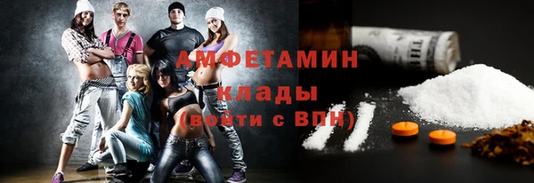 гидра Семилуки