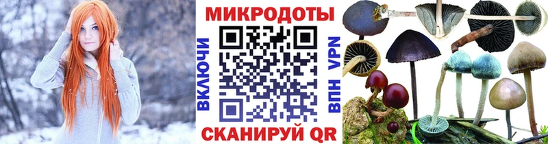 Псилоцибиновые грибы прущие грибы Камешково