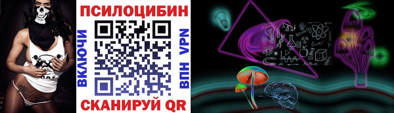 Псилоцибиновые грибы Psilocybe  Камешково 